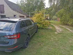 Skoda Superb Combi 2.0 TSI 4x4 DSG Sportline Bild 5