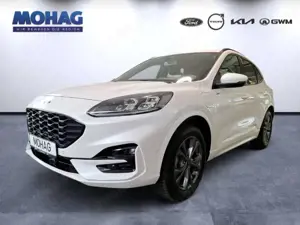 Ford Kuga Plug-In Hybrid ST-Line X AHK ACC Totwinkel Allwett