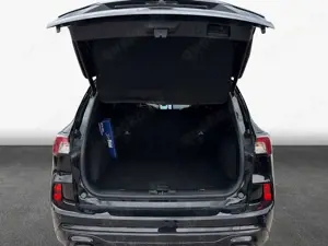 Ford Kuga 2.0 EcoBlue Aut. ST-LINE X Bild 5