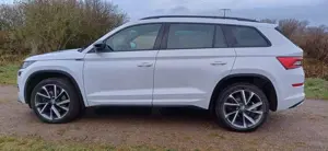 Skoda Kodiaq 2.0 TDI 4x4 DSG Sportline Bild 4