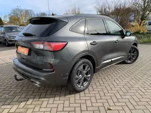 Ford Kuga ST-Line X AWD AHK+BO+Winterpaket+Kamera Bild 5