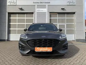 Ford Kuga ST-Line X AWD AHK+BO+Winterpaket+Kamera Bild 2
