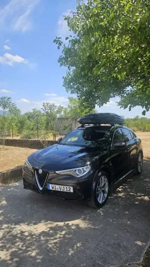 Alfa Romeo Stelvio 2.0 Turbo 16V AT8-Q4 Super