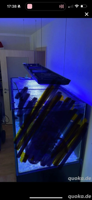 Komplette Technik Meerwasseraquraium  Bild 6