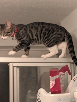 Liebe volle Hände abzugeben 