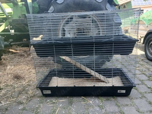 Kleintiergehege Meerschweinchen Hasen Ani One Groß zwei Etagen  Zwergkaninchen Farbratten etc.