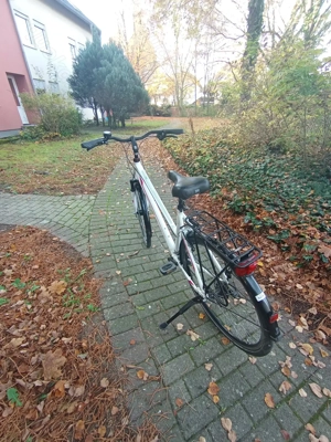 Lakes Arco 80 Damen Fahrrad 28 Zoll  Bild 2