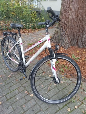Lakes Arco 80 Damen Fahrrad 28 Zoll  Bild 3