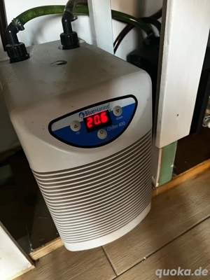 bluemarine chiller 400 aquarium kühler axolotl