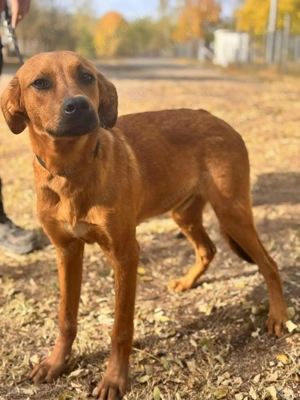  Tamaro   kleiner Entdecker sucht großes Glück! 