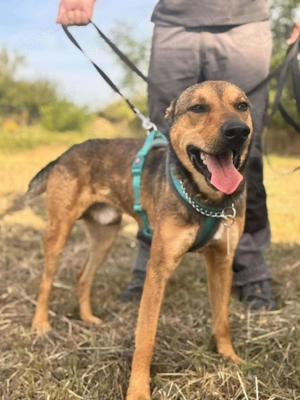  Arthur sucht sein Glück 