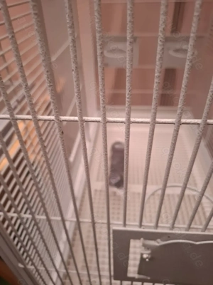 Montana Papagei o.Sittichkäfig Bild 2