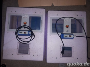 Inkubator  Bild 2