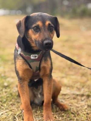  Caando   ein stiller Hoffnungsträger auf der Suche nach seinem Glück