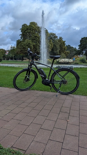 Carver Route E.350 - Trekking E Bike 50cm - 8 Gang Shimano Alfine Nabenschaltung