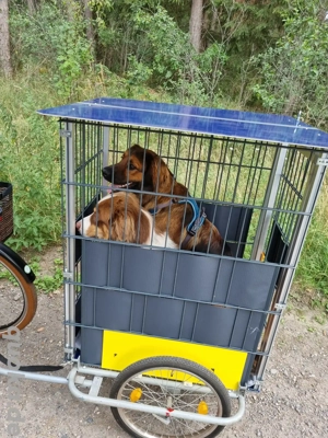 Fahrradanhänger  abzugeben 