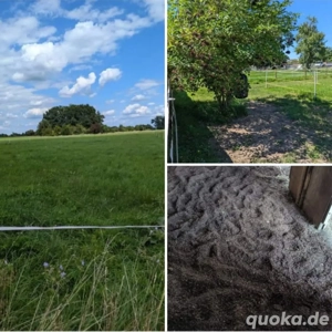 Offenstallplatz mit Trail für Wallach frei