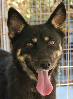 Elke   so viel Leid, und doch so viel Liebe in ihrem Herzen 