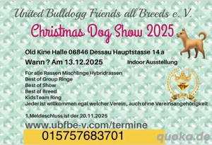 Hundeausstellung Rassehundeshow