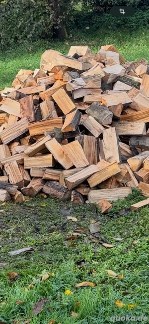 Buchenholz Brennholz frisch