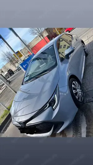 Toyota Corolla Hybrid Club