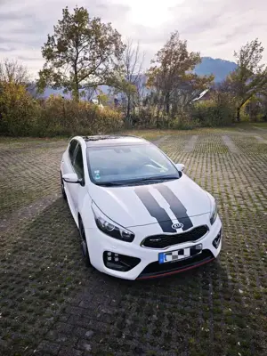 Kia Ceed / cee'd 1.6 T-GDI | GT-Track | Panoramadach | Keyless | Bild 2