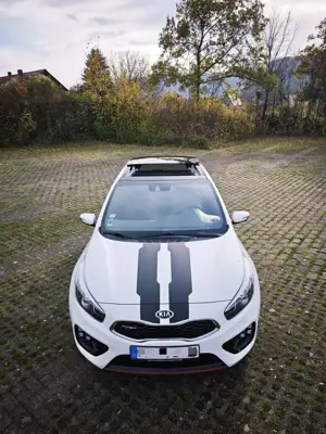 Kia Ceed / cee'd 1.6 T-GDI | GT-Track | Panoramadach | Keyless | Bild 4