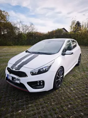 Kia Ceed / cee'd 1.6 T-GDI | GT-Track | Panoramadach | Keyless | Bild 1