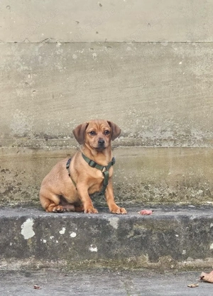 Poldi sucht sein Glück!!!!!!