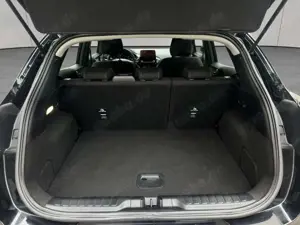 Ford Puma 1.0 Hybrid TITANIUM Bild 4