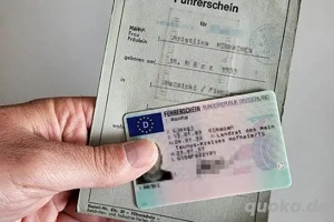 Online-Führerschein