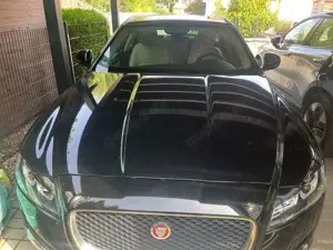 Jaguar XF XF 25d AWD Sportbrake  Aut.Prestige