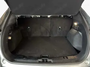 Ford Kuga 2.0 EcoBlue Aut. ST-LINE X Bild 5