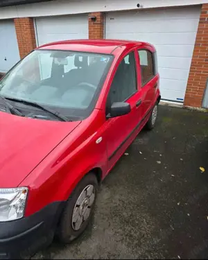 Fiat Panda Panda 1.1 Bild 3