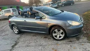 Peugeot 307 Basis **HU/AU NEU**