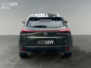 Lexus UX 300e Luxury ML/CARPLAY Bild 5