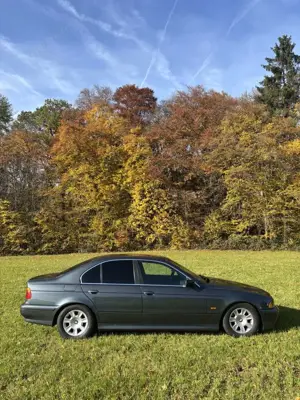 BMW 525 525i Bild 4