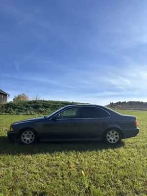 BMW 525 525i Bild 5