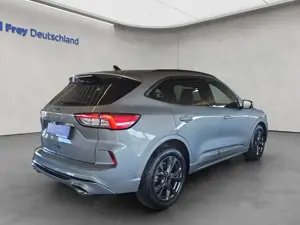 Ford Kuga 2.0 EcoBlue Aut. ST-LINE X Bild 4