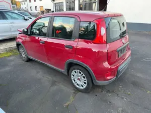 Fiat Panda Hybrid