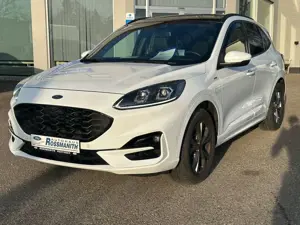 Ford Kuga ST-Line X 2.0 EcoBl AWD *AHK/ACC/PANO/BO