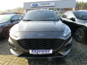 Ford Kuga 2.0 EcoBlue ST-Line Navi DAB LED Bild 3