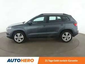 Skoda Karoq Bild 3