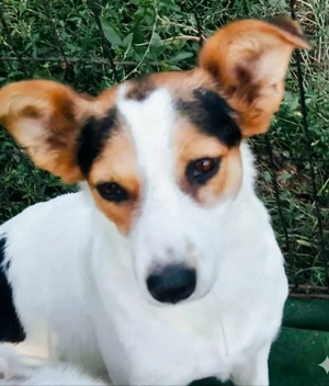 Nina sucht ein Zuhause für immer