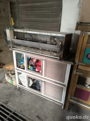 wachtel und Kaninchen stal zum abgeben sehr günstig 