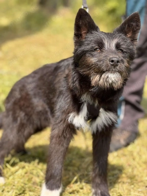 Waskja wartet... und wartet... und wartet  Bild 2