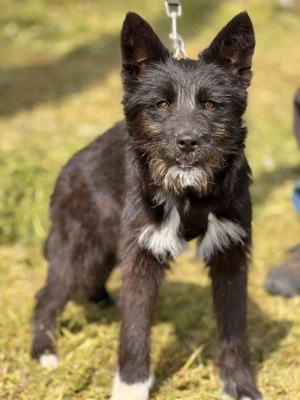 Waskja wartet... und wartet... und wartet  Bild 3