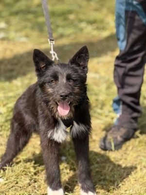 Waskja wartet... und wartet... und wartet 