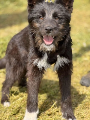 Waskja wartet... und wartet... und wartet  Bild 4