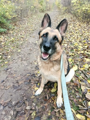  SZÉPSÉG   die Schönheit, die alles überlebt hat